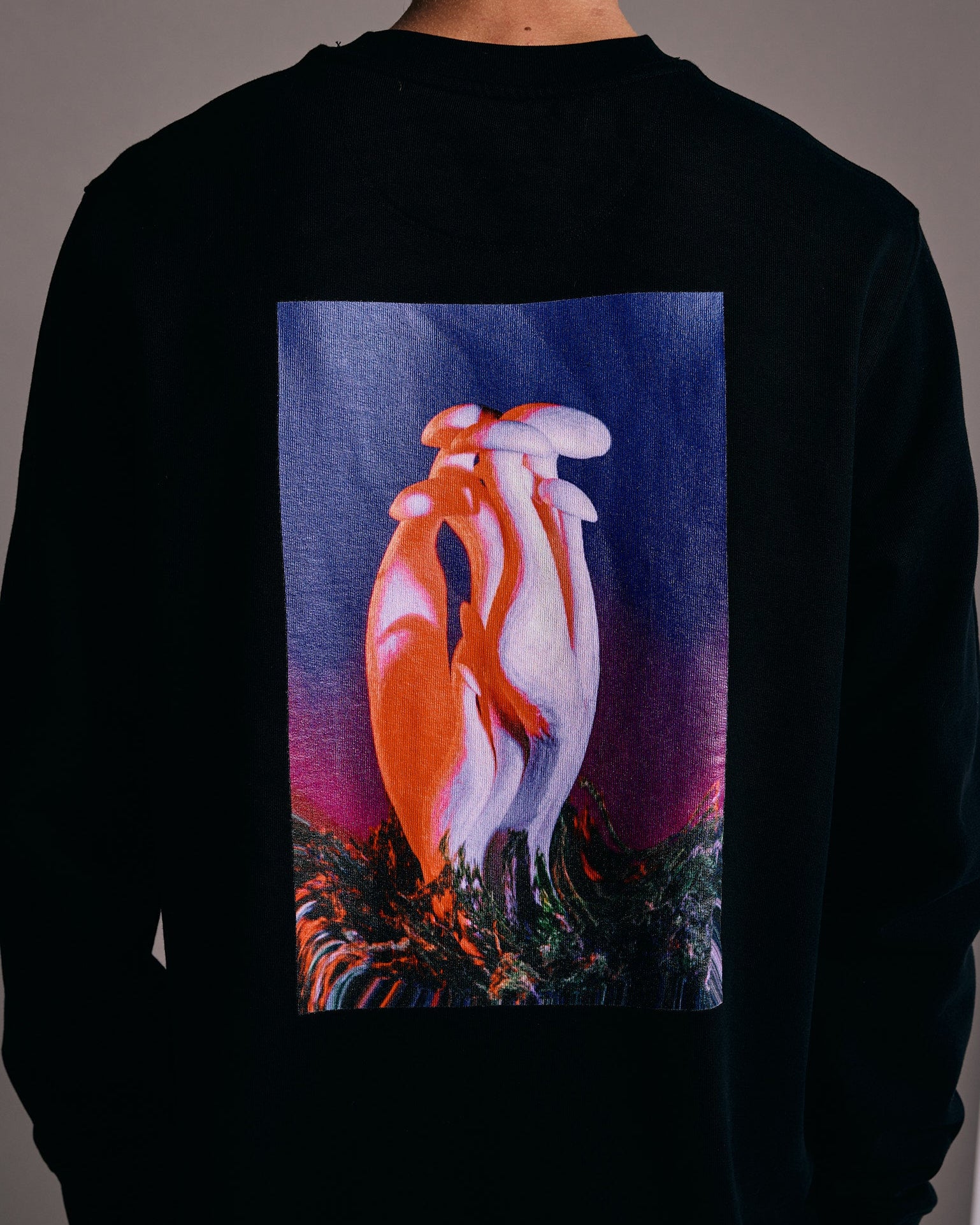 Terra x Luxury Crewneck Sweatshirt
