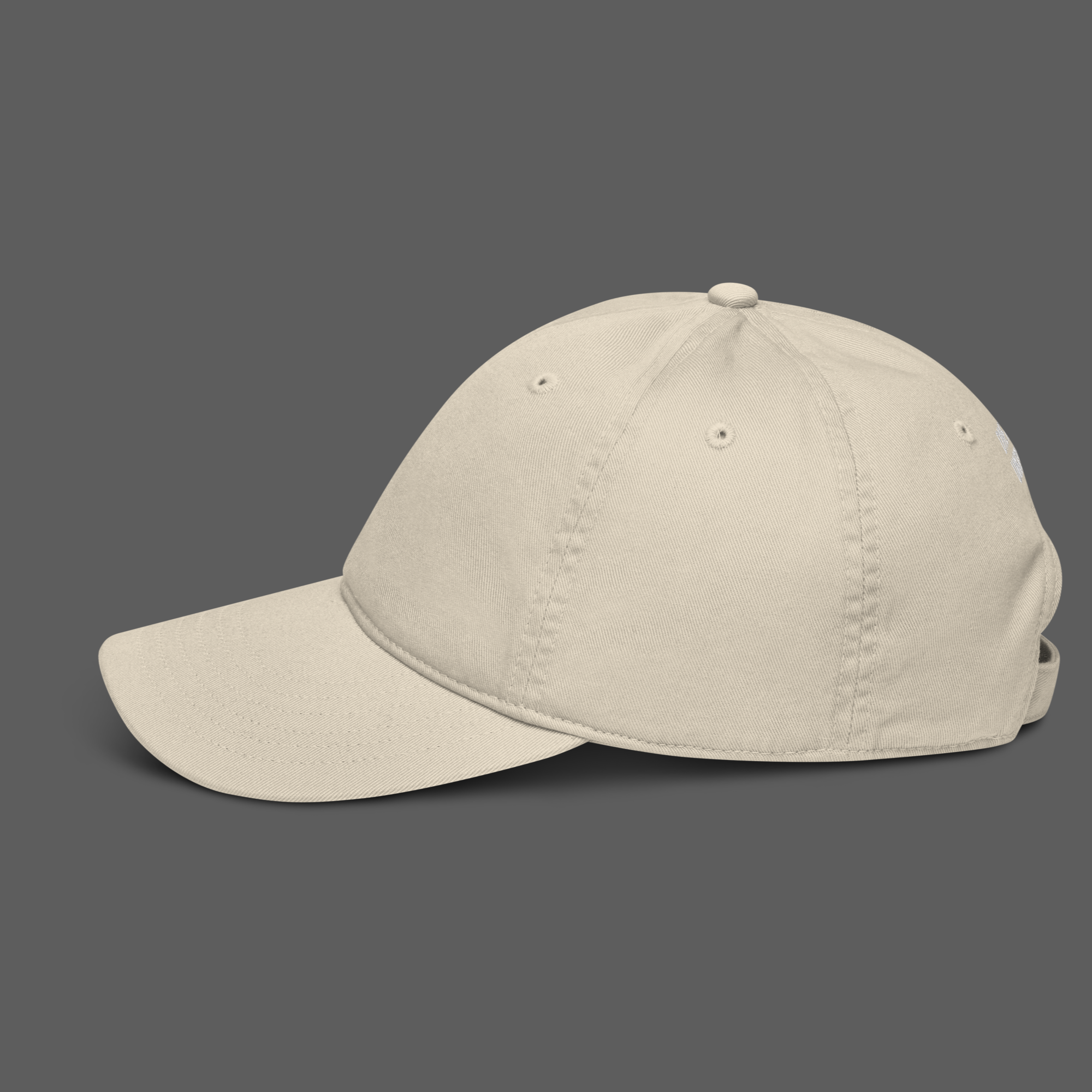 luxury streetwear accessory, beige cap hat baseball, dive into the unknown back embroidery
