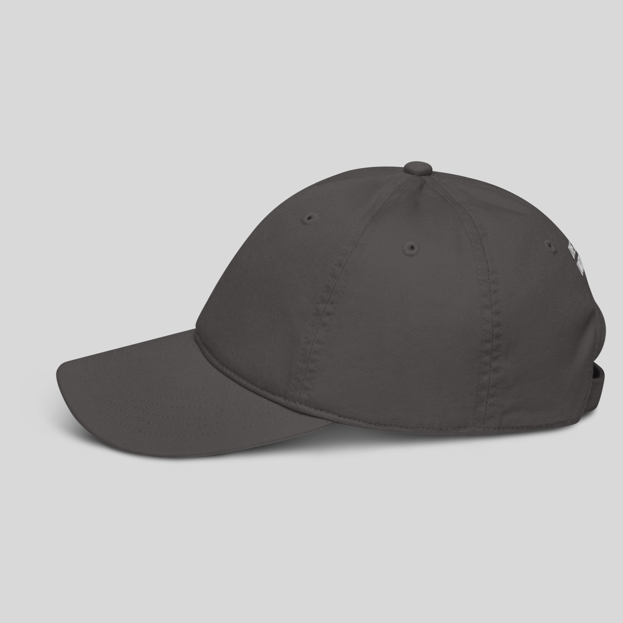 side of aeterius streetwear grey cap baseball dad hat accessory 'dive into the unknown' embroidery back
