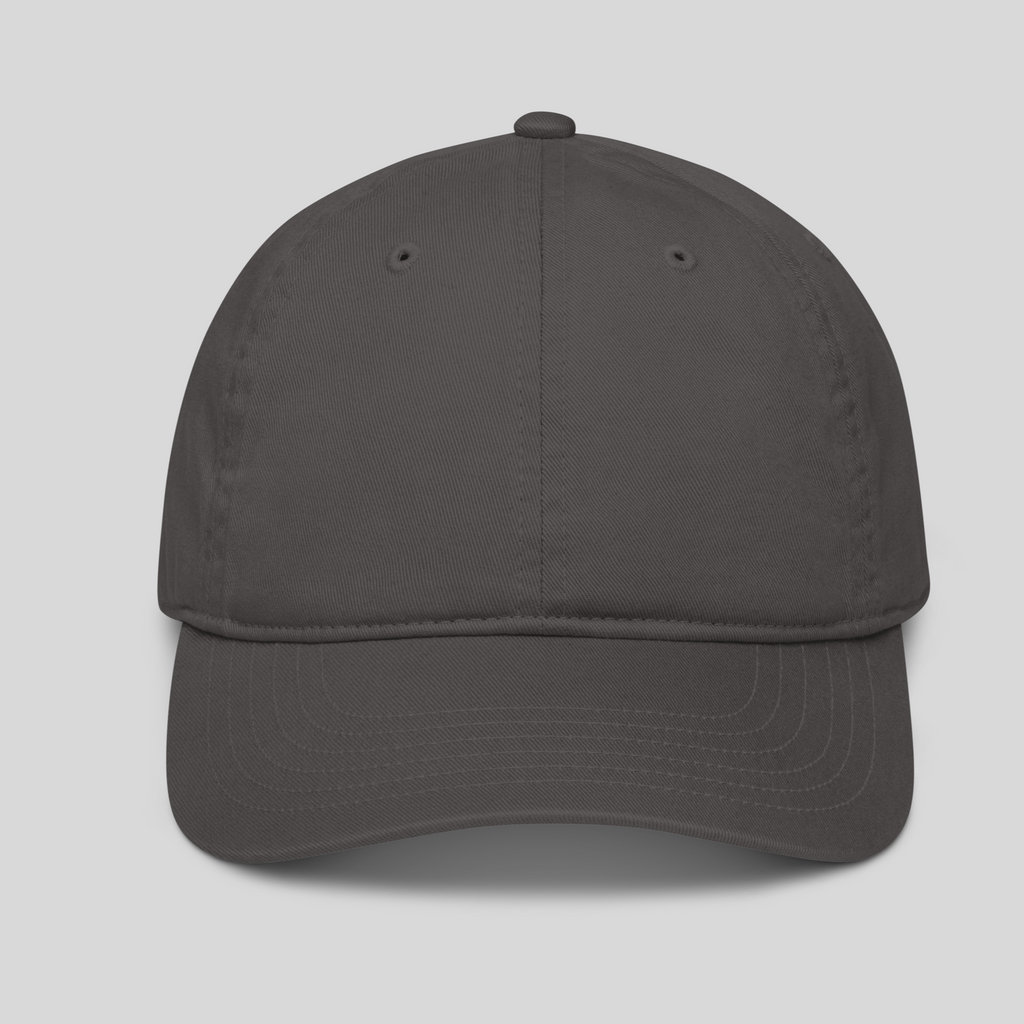 front side of grey cap with back embroidery dad hat accessory luxury streetwear