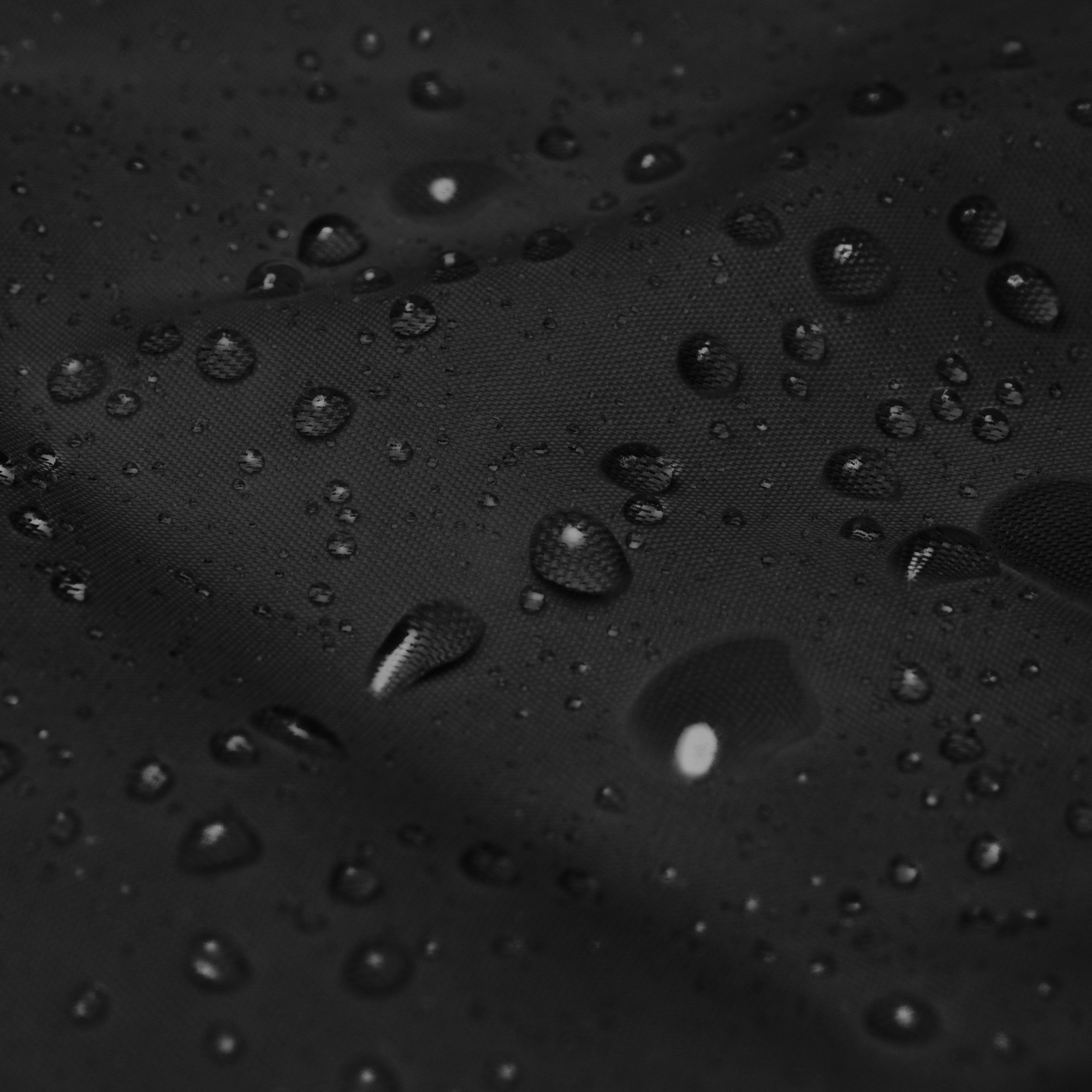 Windbreaker Jacket